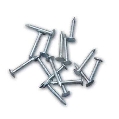 Şıngıl Çivisi 2,5 kg