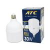Atc 30W - 6500K - 2700 Lümen - 2500h Torch Beyaz Led Ampul E27