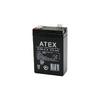 ATEX AX6-2.8 İnce Akü 6V 2.8Ah
