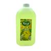 Hayat 5L Limon Kolonya Bidon