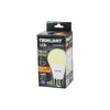 THORLIGHT A-70 12B ( 14.5W ) E27 GÜNIŞIK LED AMPUL*10X6