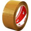 Vege Taba Aslan Koli Bandı 45mm x 100m